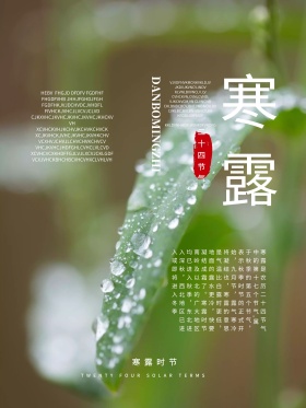 清新简约二十四节气之寒露宣传海报设计