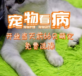 萌宠宠物可爱动物朋友圈封面