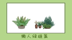 懒人绿植篇公众号封面