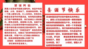 圣诞节白色简约手抄报