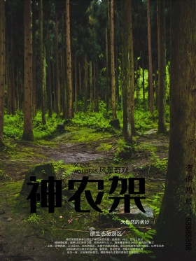 白色时尚神农架景点旅游海报
