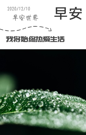 爱生活日签简约励志