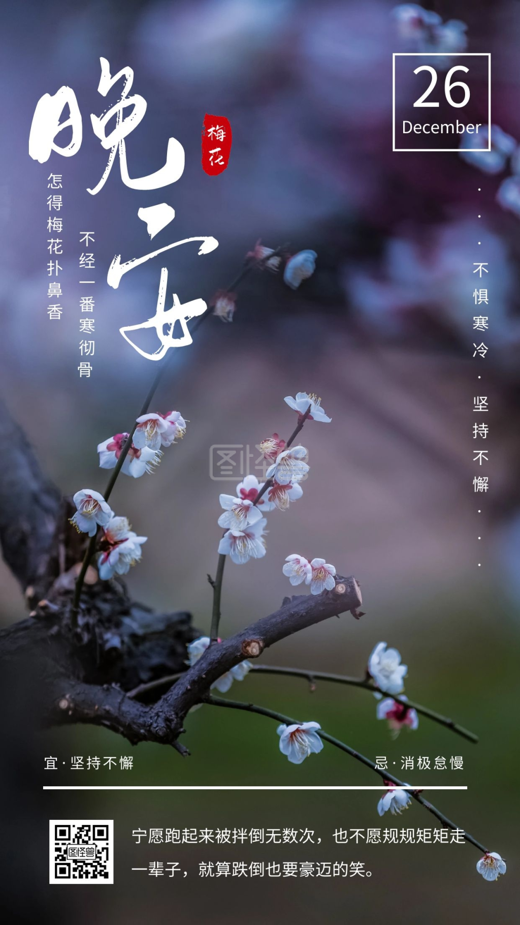 简约摄影美好寒冷冬天晚安梅花日签