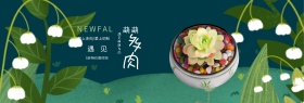 绿色森林花草多肉绿植淘宝多肉海报banner