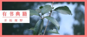 有书 典籍 开拓视野 读书插画有书文艺简约公众号封面