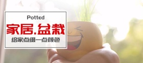 家居绿植盆栽宣传促销淘宝移动banner
