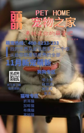 宠物之家促销活动可爱猫狗领养犬舍手机海报