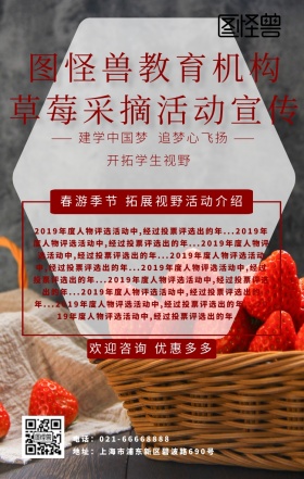 教育机构草莓采摘活动宣传红色格子海报