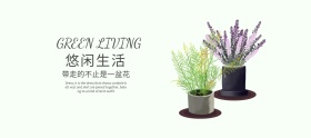 特惠上市小清新素色绿植摆件banner