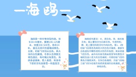 卡通创意扁平可爱海鸥手抄报海报