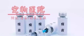 粉色简约卡通宠物医院宣传公众号封面