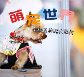 萌宠世界寄养动物