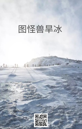 旱冰游乐场海报
