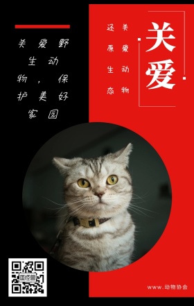 关爱 关爱动物 还原生态 www.动物协会 关爱野生动物，保护美好家园 保护动物公益宣传手机海报