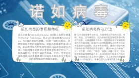 简约卡通诺如病毒手抄报