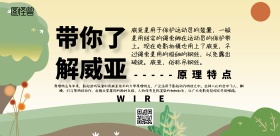 威亚图威压简约宣传印刷横版海报