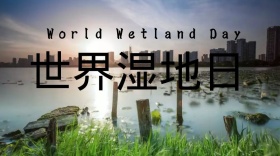 世界湿地日公众号封面