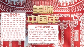 新春美味中国年红色白色简约手抄报