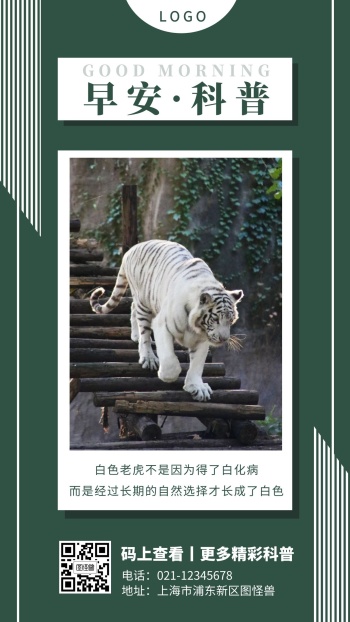 动物早安
