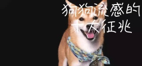 立春季节流感微博焦点图