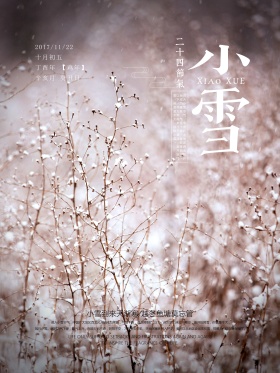 清新二十四节气之小雪节气海报设计