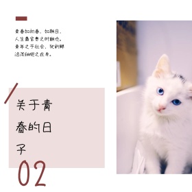 日系青春暖阳小猫咪文艺公众号配图