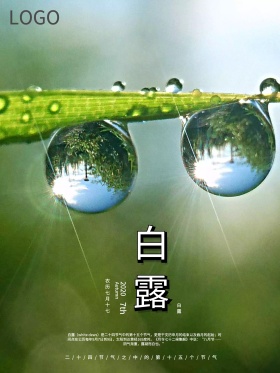 二十四节气之白露传统节日海报