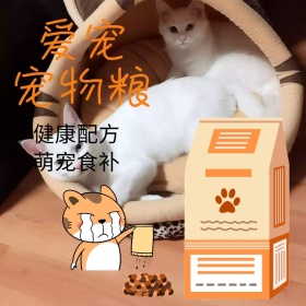 猫粮主图 猫粮 狗粮 宠物 