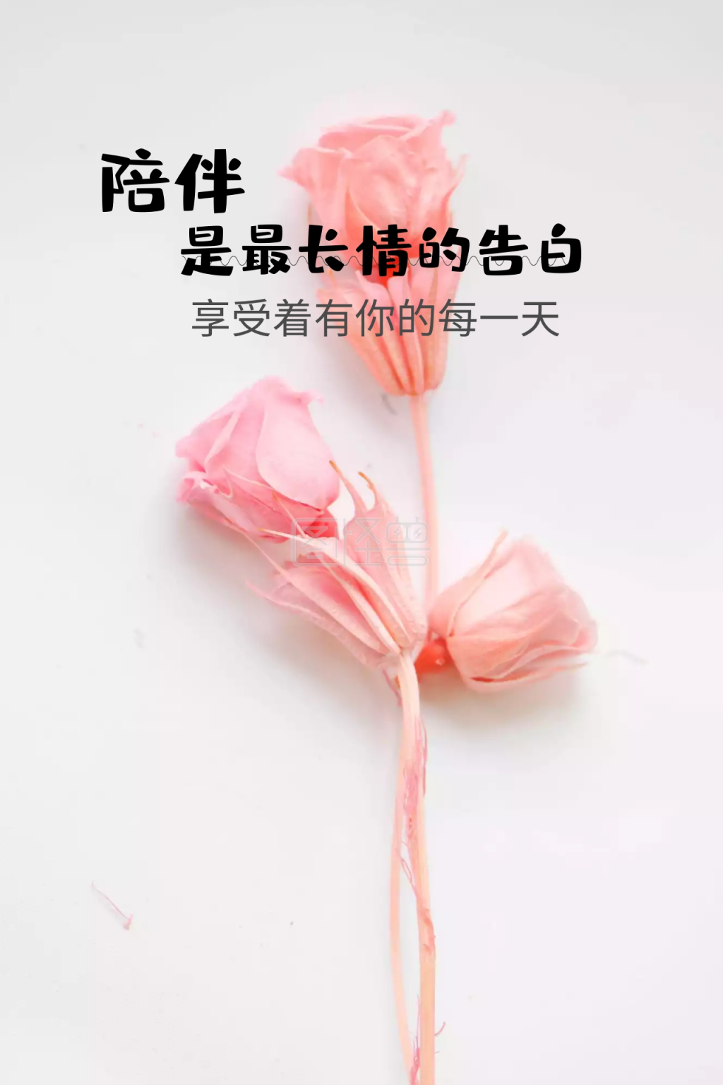 卡通爱情公众号竖版配图