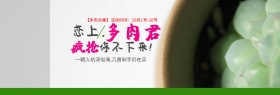 绿色小清新多肉君淘宝促销海报banner