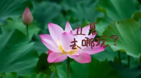 立夏去哪玩游玩公众号封面