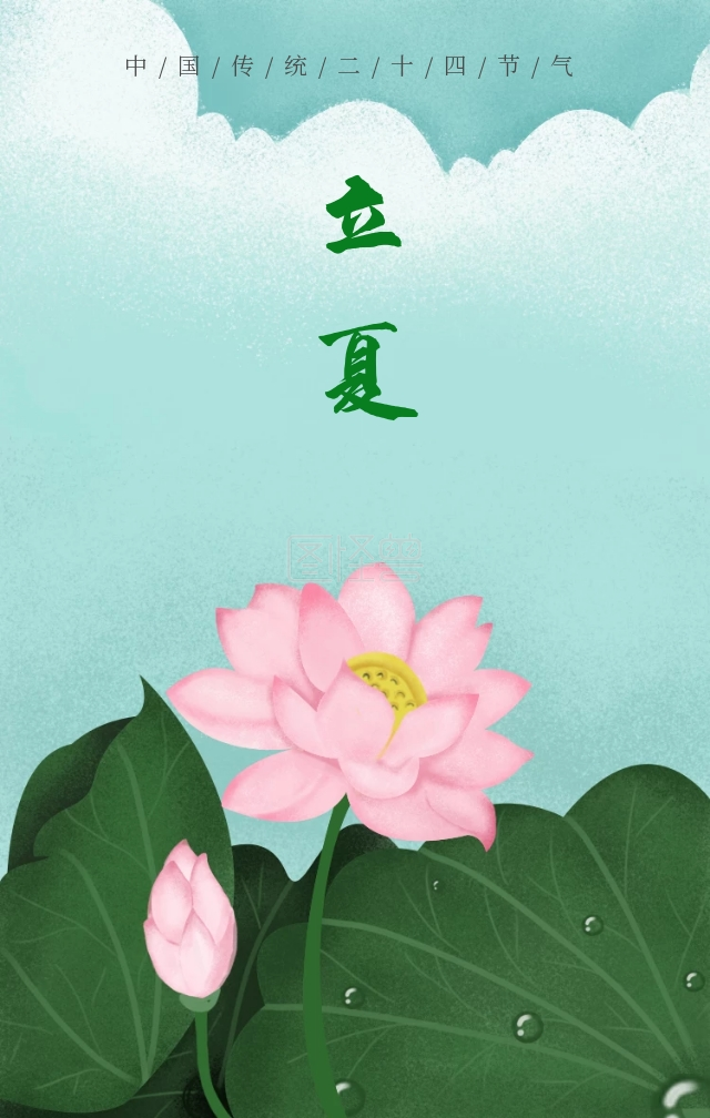 立夏荷花中国手绘清新海报