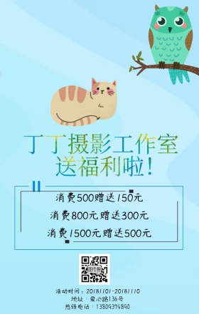 宠物摄影工作室送福利的广告宣传日签