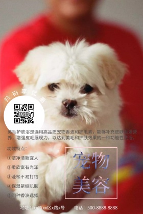 宠物美容公众号配图