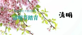 花卉清明节踏青公众号封面