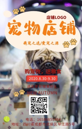 宠物用品猫狗用品粮食条纹黄色手机海报