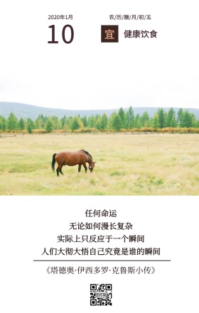 草原马匹文艺简约日签