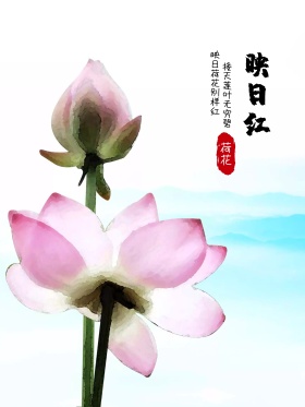 原创手绘荷花海报设计