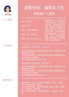 粉色几何简约线条编导实习生求职简历