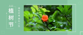 植树节 3.12 绿化环境 美化人生 植树节