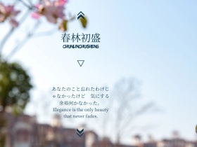 蓝色文艺小清新日系女生摄影公众号配图