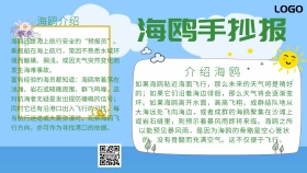海鸥手抄报简约卡通