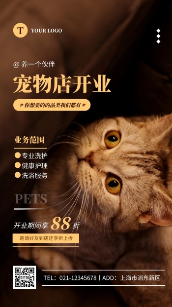 宠物店开业海报