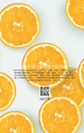 柚子热卖手机营销海报
