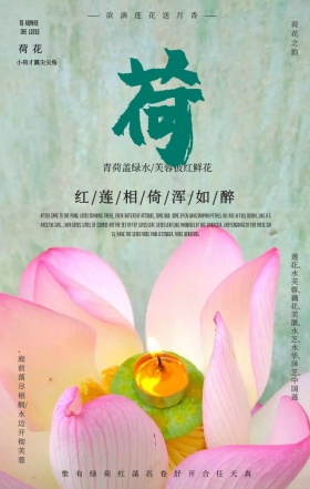 中国风古典水墨画淡雅赏荷花手机海报