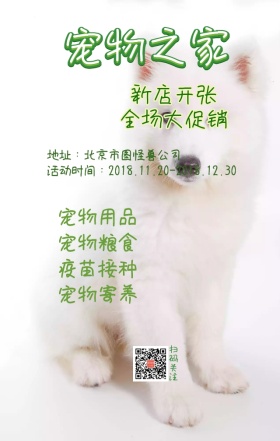 宠物之家新店促销狗狗绿色海报