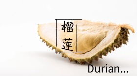 榴莲简约创意宣传公众号模版