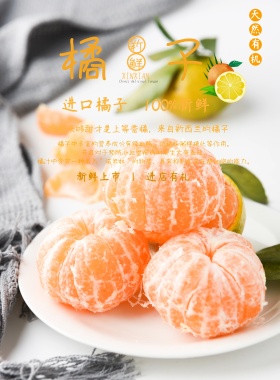 简约橙色橘子产品介绍宣传海报模版