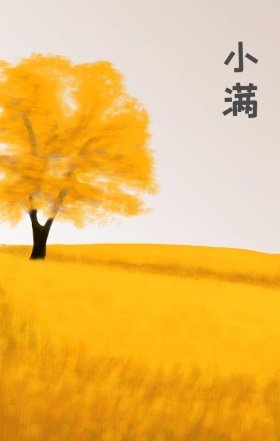 小满节气谷田稻田宣传海报