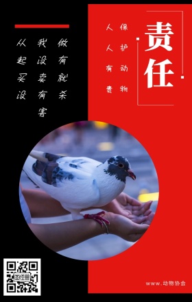 责任 保护动物 人人有责 www.动物协会 从我做起没有买卖就没有杀害 保护动物公益宣传手机海报